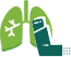 Мапачо: использование силы народной медицины для облегчения астмы