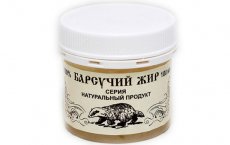 Лечение астмы барсучьим жиром