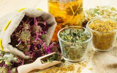 Помогают ли грудные сборы при бронхите и какой лучше выбрать